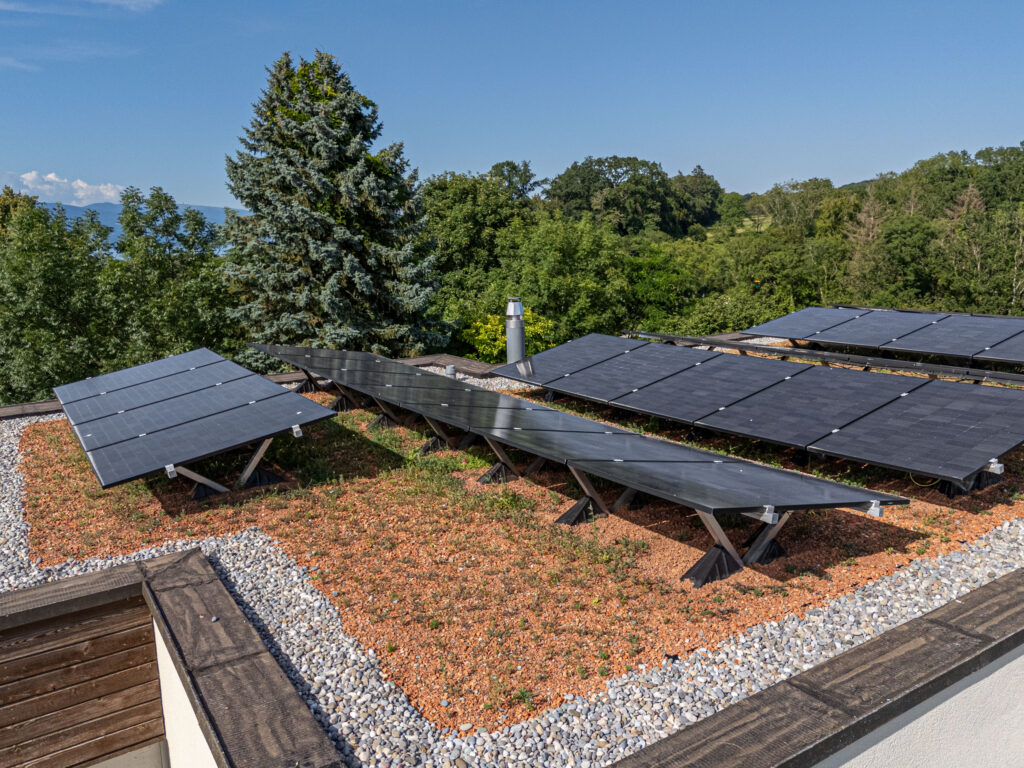 Installation solaire sur toiture végétalisée à la Villa Fontana à Portalban, réalisée par Stauffacher Charpentes SA.