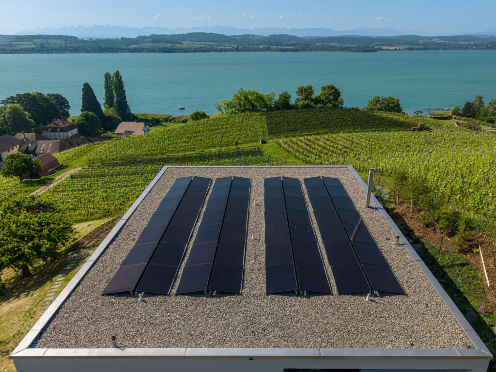 stauffacher_charpentes_sa_24050_STEINMANN004